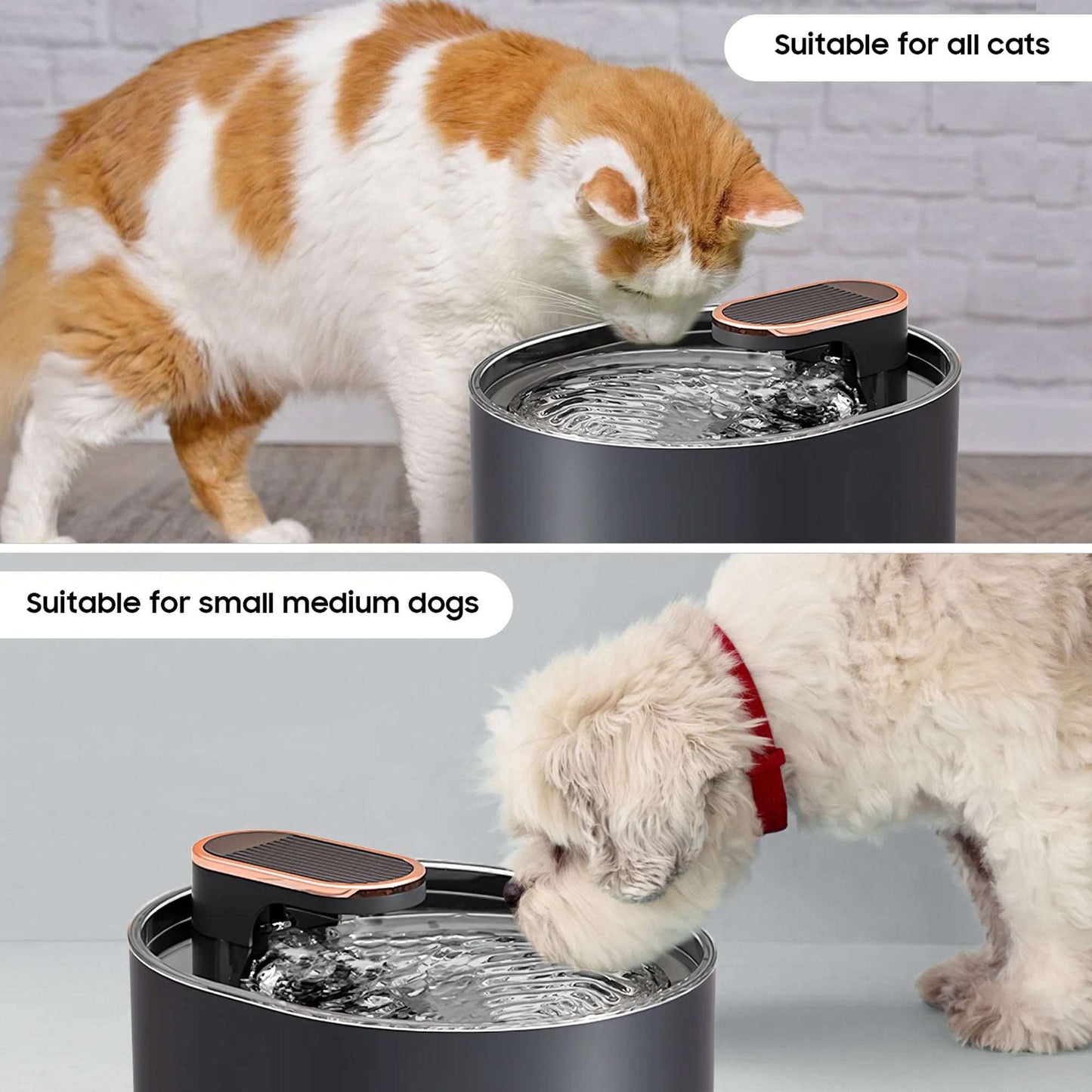 WESOUQ™ Cat water box Ultra Quiet LED Automatic Water Fountain with 7 Filters, Best Care Cat